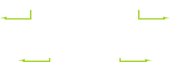Gaillards ambitieux - Pierre Naud